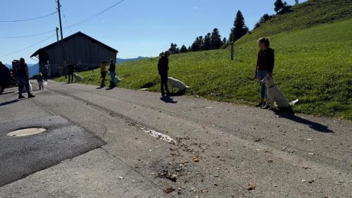 PHOTO-2025-09-10-07-59-17-11