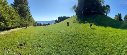 PHOTO-2025-09-10-07-59-17-12