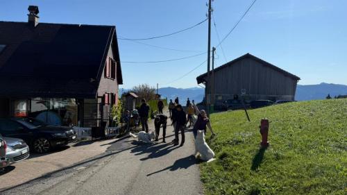 PHOTO-2025-09-10-07-59-17-13