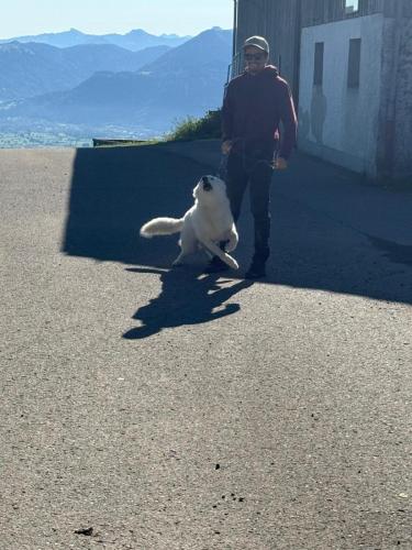 PHOTO-2025-09-10-07-59-17-2