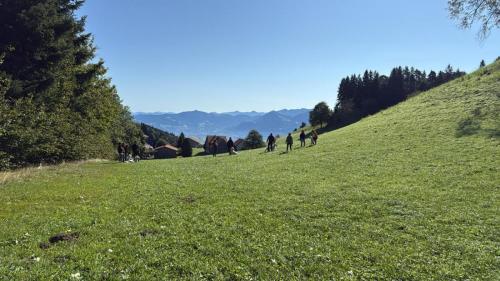 PHOTO-2025-09-10-07-59-17-4