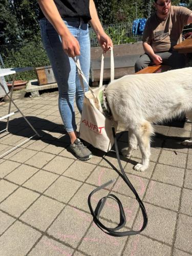 PHOTO-2025-09-10-07-59-17-7