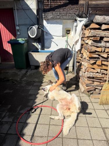 PHOTO-2025-09-10-07-59-17-8