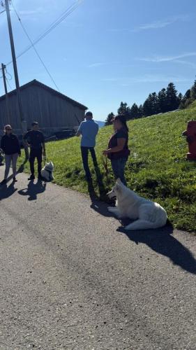 PHOTO-2025-09-10-07-59-17