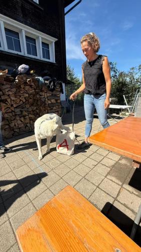 PHOTO-2025-09-10-07-59-18-11