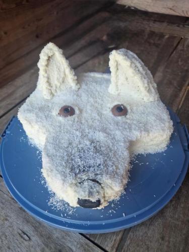 PHOTO-2025-09-10-07-59-18-13