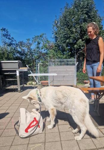 PHOTO-2025-09-10-07-59-18-17