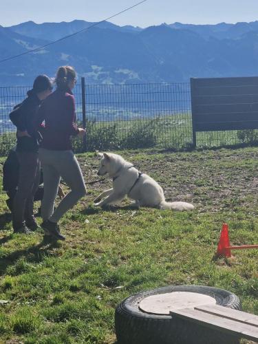 PHOTO-2025-09-10-07-59-18-2