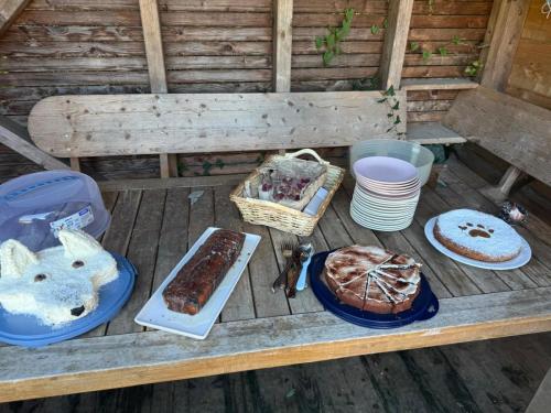 PHOTO-2025-09-10-07-59-18-7