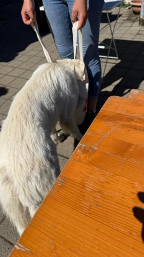 PHOTO-2025-09-10-07-59-18-8