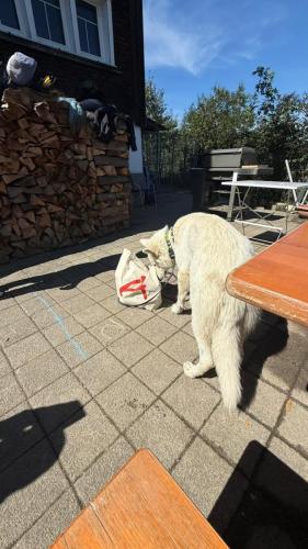 PHOTO-2025-09-10-07-59-18-9