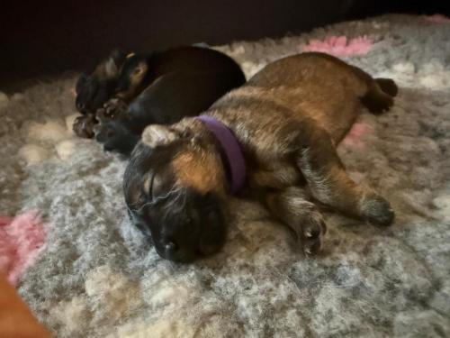 WhatsApp-Image-2025-09-25-at-20.39.35