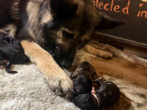 WhatsApp-Image-2025-11-23-at-08.02.10-1