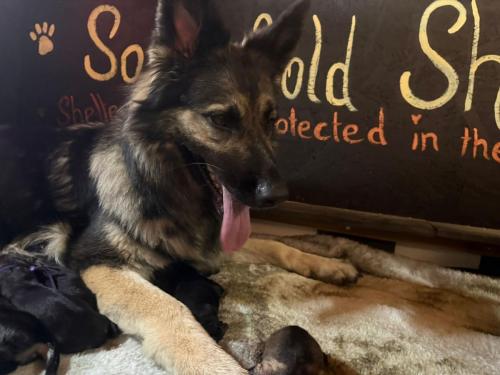 WhatsApp-Image-2025-11-23-at-08.02.10-2