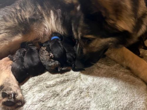 WhatsApp-Image-2025-11-23-at-08.02.10-3