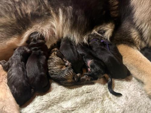 WhatsApp-Image-2025-11-23-at-08.02.10-4