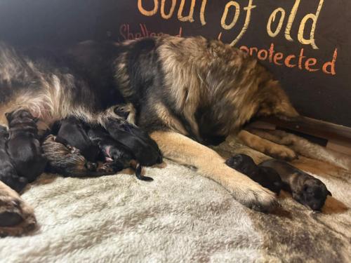 WhatsApp-Image-2025-11-23-at-08.02.10