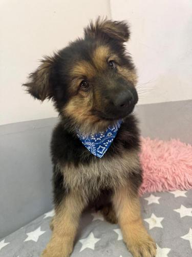 WhatsApp-Image-2026-02-02-at-13.25.34-1