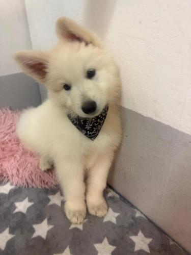 WhatsApp-Image-2026-02-02-at-13.25.34-11