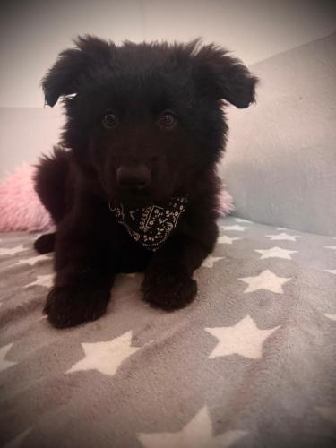 WhatsApp-Image-2026-02-02-at-13.25.34-12