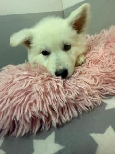 WhatsApp-Image-2026-02-02-at-13.25.34-14