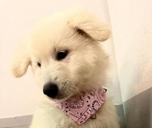 WhatsApp-Image-2026-02-02-at-13.25.34-18