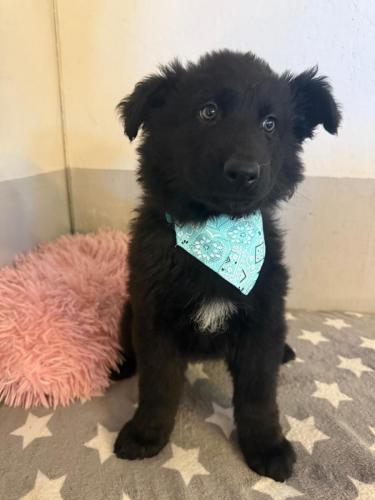 WhatsApp-Image-2026-02-02-at-13.25.34-2