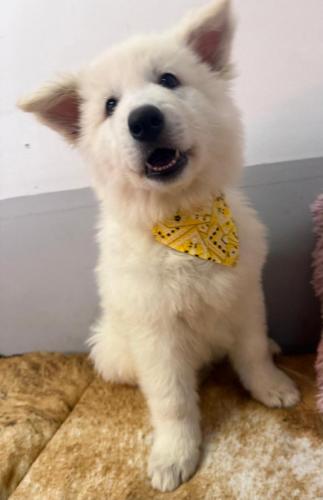 WhatsApp-Image-2026-02-02-at-13.25.34-20