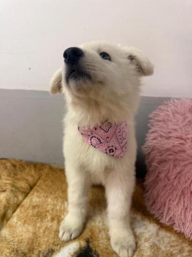 WhatsApp-Image-2026-02-02-at-13.25.34-22