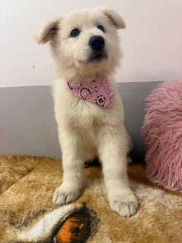 WhatsApp-Image-2026-02-02-at-13.25.34-23