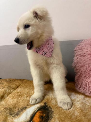 WhatsApp-Image-2026-02-02-at-13.25.34-24