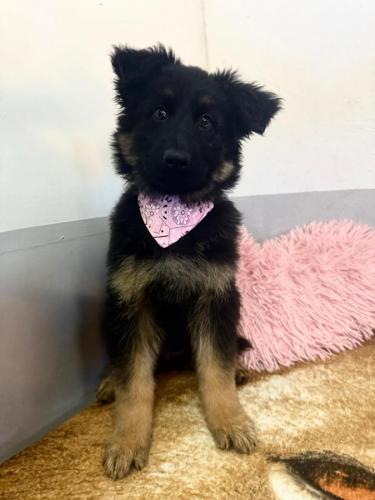 WhatsApp-Image-2026-02-02-at-13.25.34-25