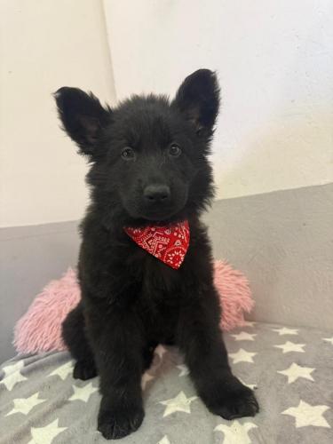 WhatsApp-Image-2026-02-02-at-13.25.34-3