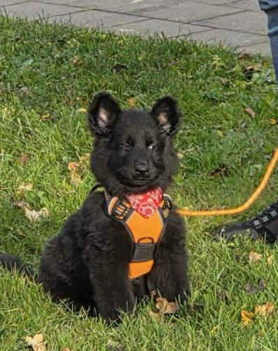 WhatsApp-Image-2026-02-02-at-13.25.34-4