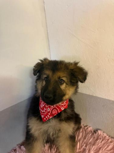 WhatsApp-Image-2026-02-02-at-13.25.34-6