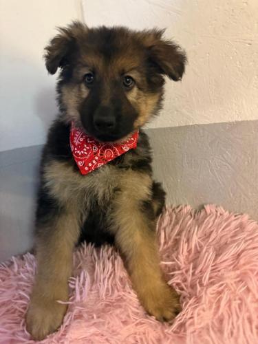 WhatsApp-Image-2026-02-02-at-13.25.34-7