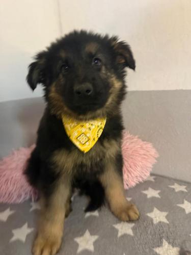 WhatsApp-Image-2026-02-02-at-13.25.34-8