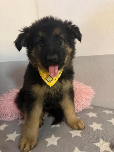 WhatsApp-Image-2026-02-02-at-13.25.34-9