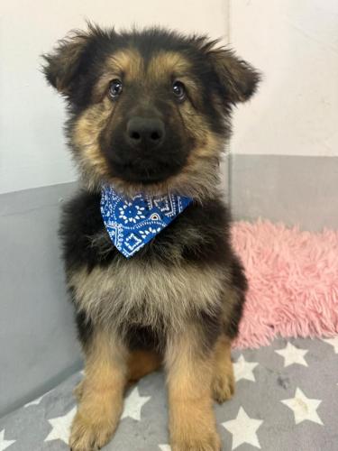 WhatsApp-Image-2026-02-02-at-13.25.34