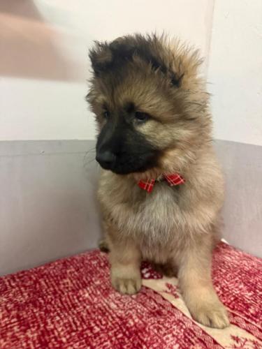 WhatsApp-Image-2026-02-02-at-13.28.54-1