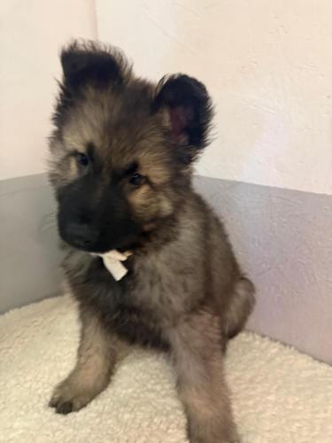 WhatsApp-Image-2026-02-02-at-13.28.54-10