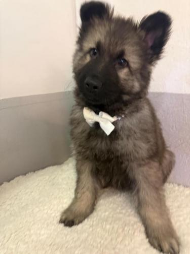 WhatsApp-Image-2026-02-02-at-13.28.54-11