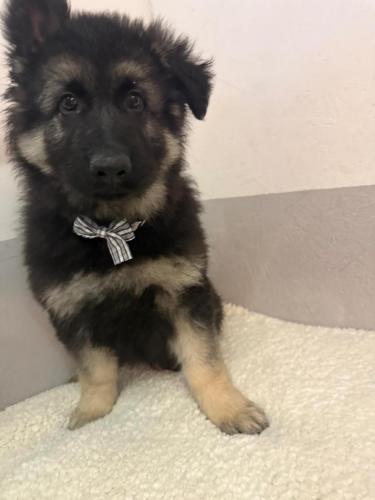 WhatsApp-Image-2026-02-02-at-13.28.54-12