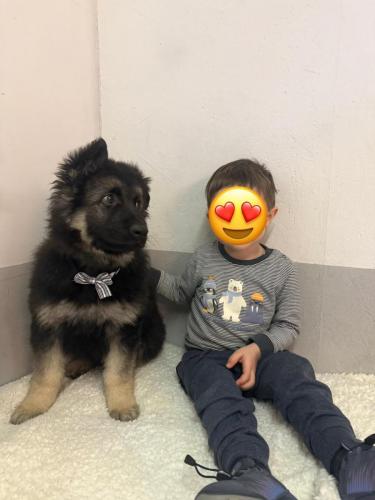 WhatsApp-Image-2026-02-02-at-13.28.54-13