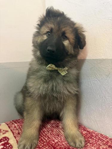 WhatsApp-Image-2026-02-02-at-13.28.54-2