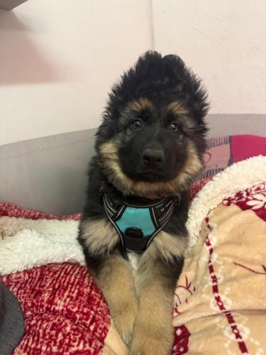 WhatsApp-Image-2026-02-02-at-13.28.54-4