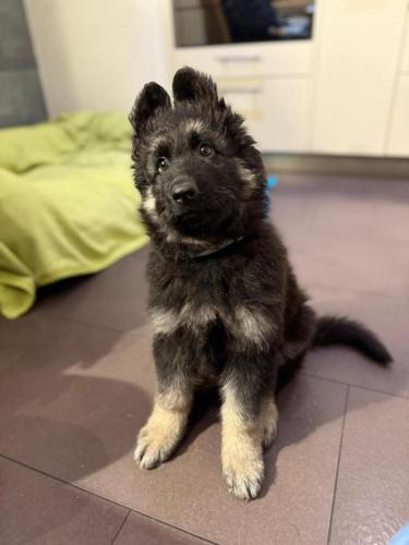 WhatsApp-Image-2026-02-02-at-13.28.54-5