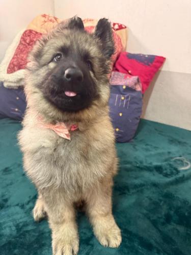 WhatsApp-Image-2026-02-02-at-13.28.54-6