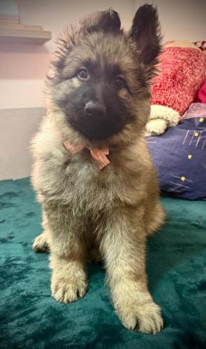 WhatsApp-Image-2026-02-02-at-13.28.54-7