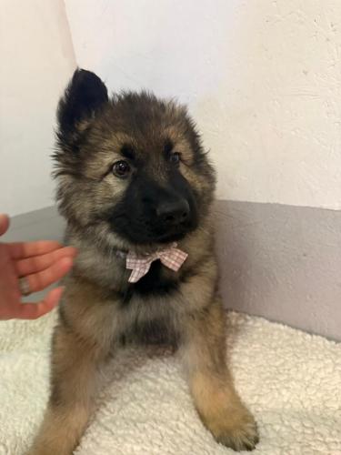 WhatsApp-Image-2026-02-02-at-13.28.54-8